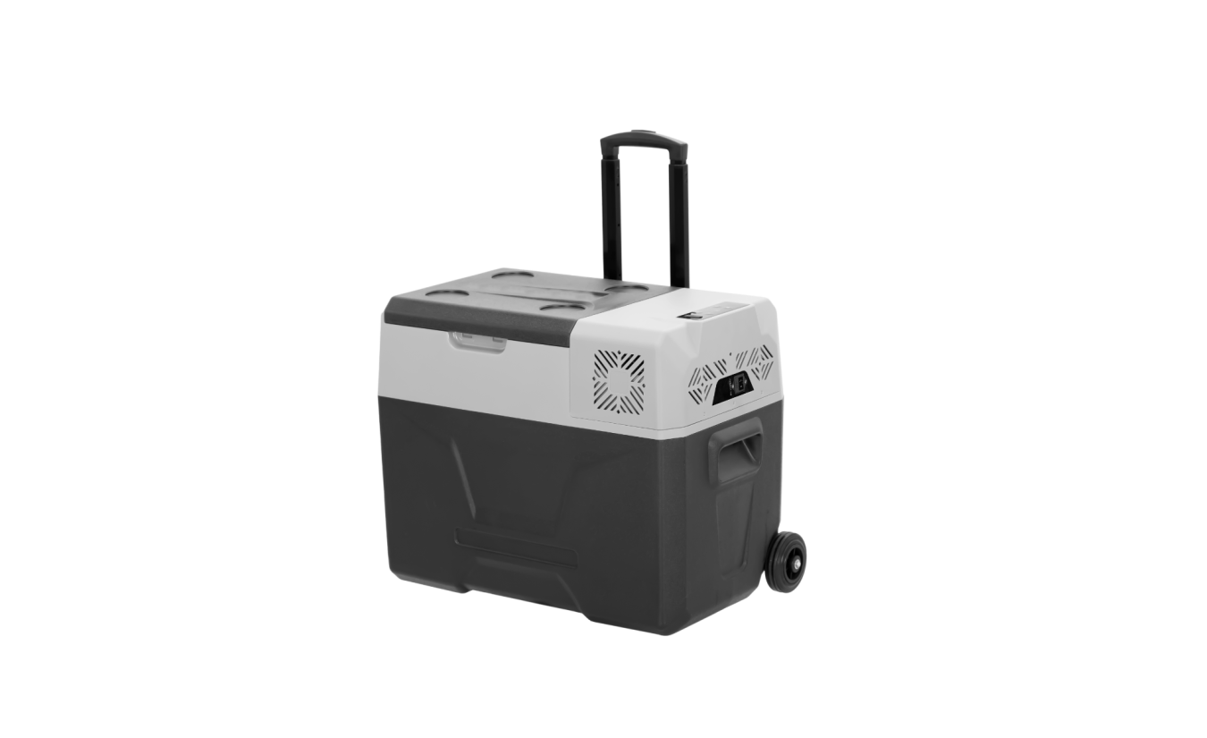 begroting schoonmaken Voorspellen Steamy SECCX40 (40 liter) elektrische compressor koelbox op wielen | Igloo  Coolers Europe